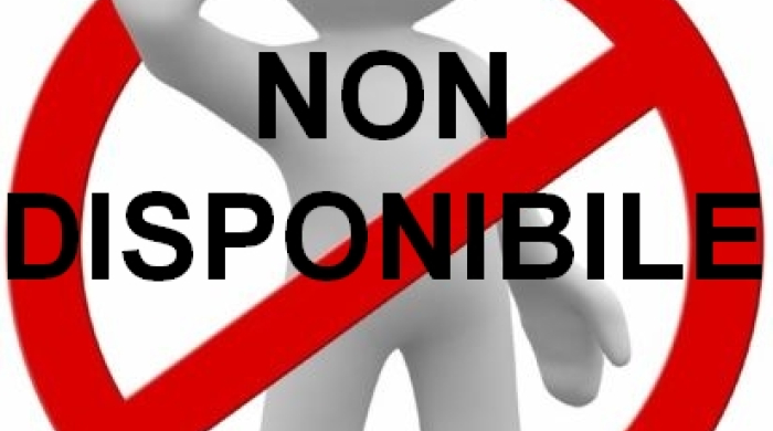 NON DISPONIBILI!